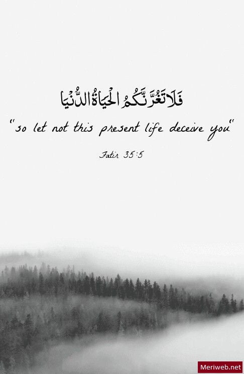 Best Beautiful Quran Quotes Verses With Images Meri Web