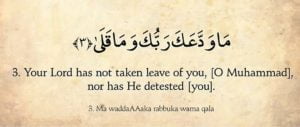 Your Lord has not taken leave of you