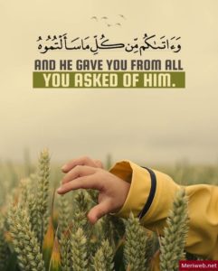 beautiful-quranic-quotes