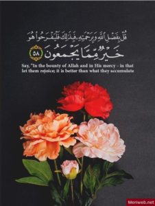 beautiful-quranic-quotes