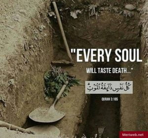 beautiful-quranic-quotes