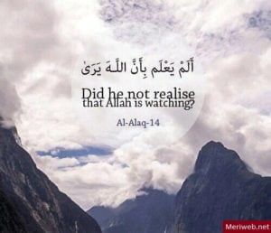 beautiful-quranic-quotes