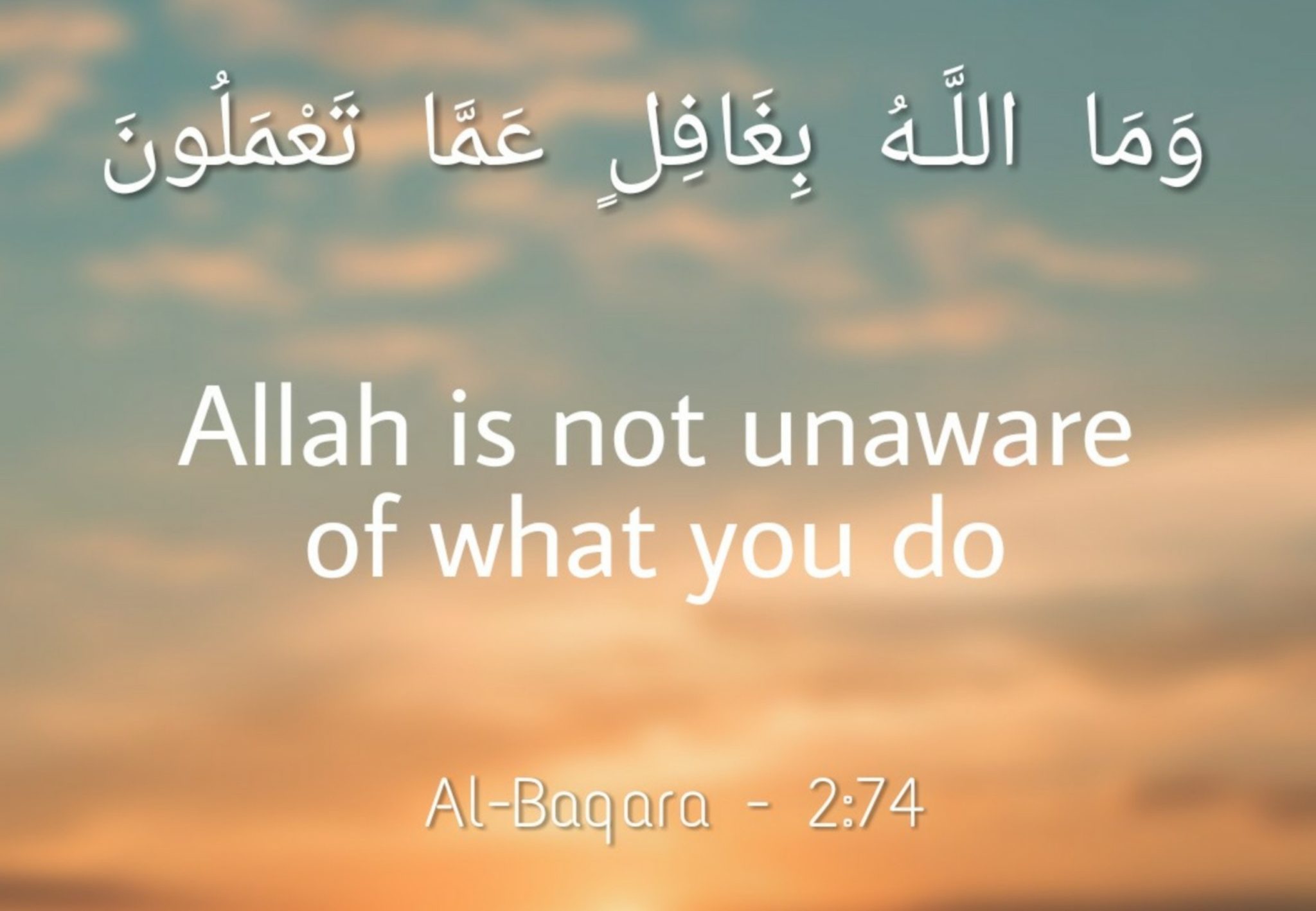 100+ Beautiful Quran Quotes Quran Verses Images Meri 