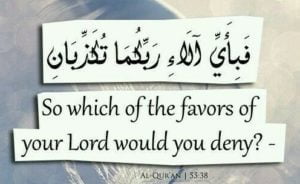 quran quotes about life