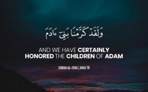 quran quotes on peace