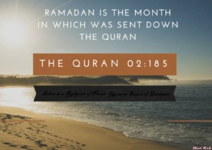 beautiful quranic quotes