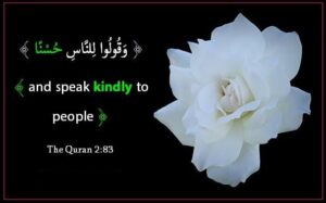 beautiful-quran-quotes