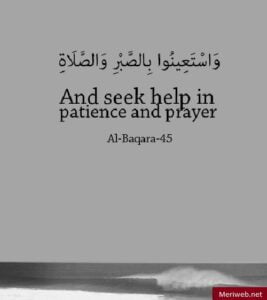 beautiful quranic quotes