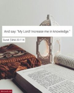 beautiful quranic quotes