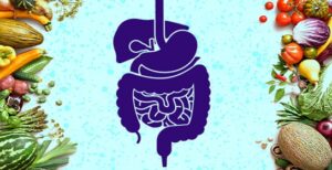 Healthy Digestive System