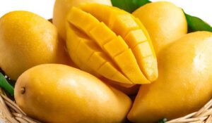 mango benefits