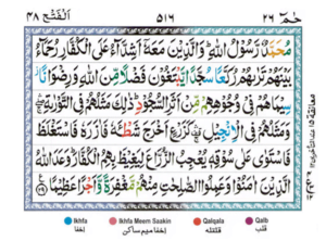 Surah Al Fath