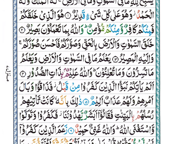 Surah At Taghabun
