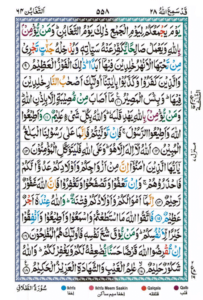 Surah At Taghabun