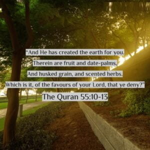 Surah Rahman Quotes Images-10