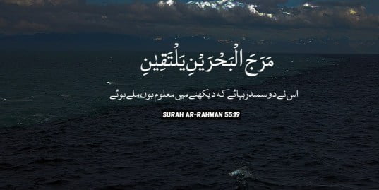 Surah Rahman Quotes in Urdu & English Images - Meri Web