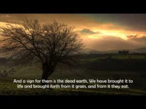 pics of surah yaseen