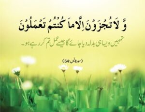 yaseen shareef full image