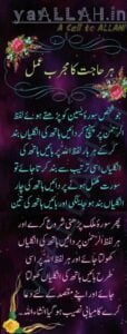 yaseen shareef full pic