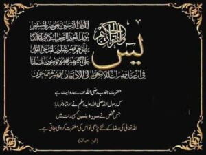 yaseen shareef images