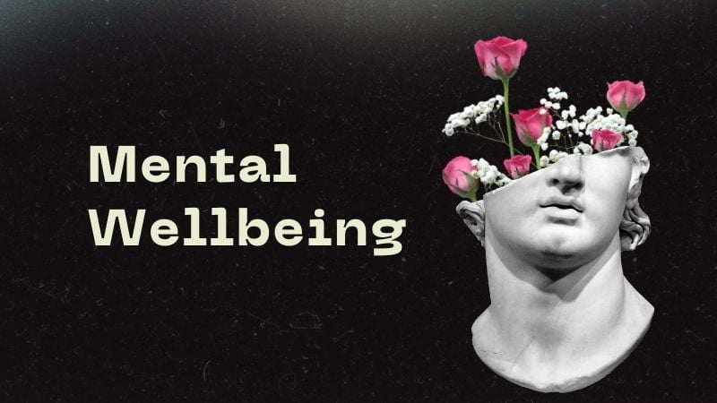 Steps You Need To Know For Mental Wellbeing Meri Web