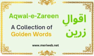 Aqwal-e-Zareen