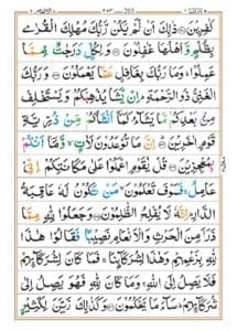 Surah Al anam