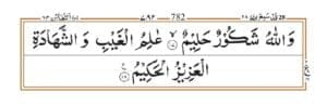 Surah Taghabun