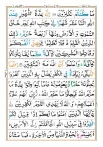 Surah Tawba