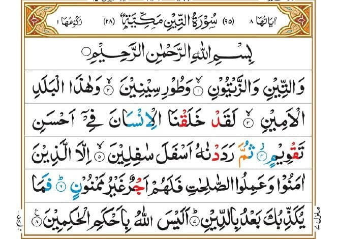 Surah At Tin