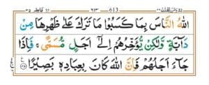 Surah Fatir