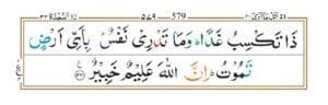 surah Luqman