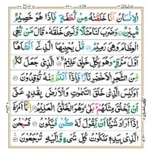 surah Yaseen