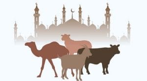 Method of Qurbani & Qurbani Duas