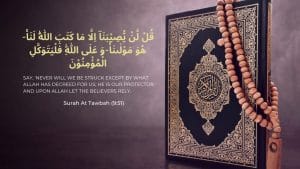 surah taubah ayat 51