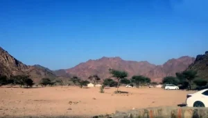 wadi e jin madinah