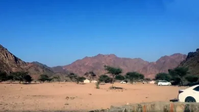 wadi e jin madinah