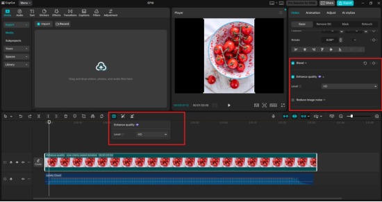 Apply AI Upscaling Tool 